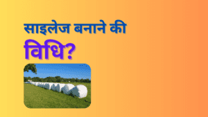 साइलेज बनाने की विधि ?