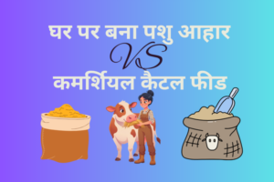 घर पर बना पशु आहार बनाम बाजार का तैयार पशु आहार: कौन सा बेहतर है?