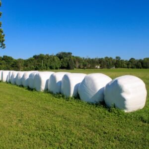 Silage