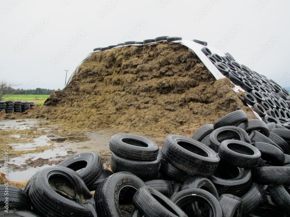 Silage storage and its uses