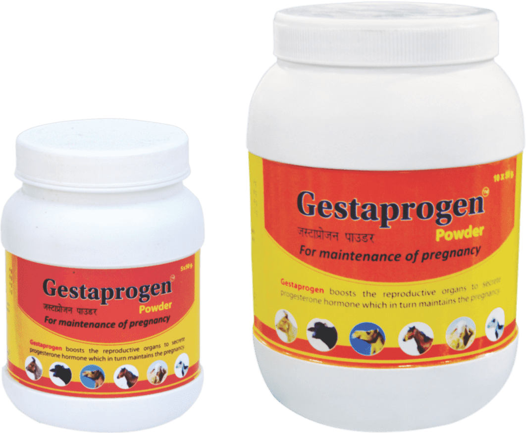 Gestaprogen Powder
